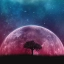Test 2